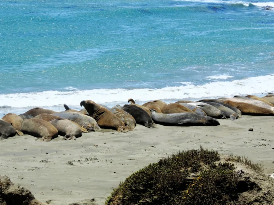 DSCN7635 scaled e1751743853339